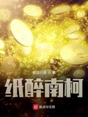 纸醉南柯